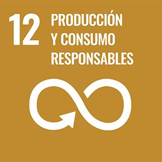 12 Produccion Y Consumo Responsables 3