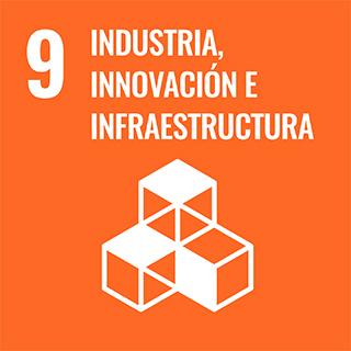 9 Industria Innovacion E Infraestructura 3